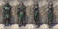 ON-item-armor-Refabricated Light Jerkin Female.jpg