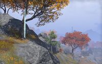 ON-skyshard-Centurion's Rise.jpg