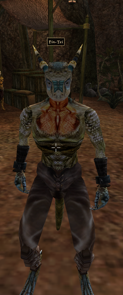 File:TR3-npc-Fin-Tei.png