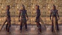 ON-item-armor-Linen-Jerkin-Argonian-Male.jpg