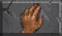 DF-misc-Grab Mode Icon.png