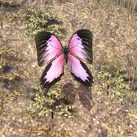 ON-creature-Butterfly 03.jpg