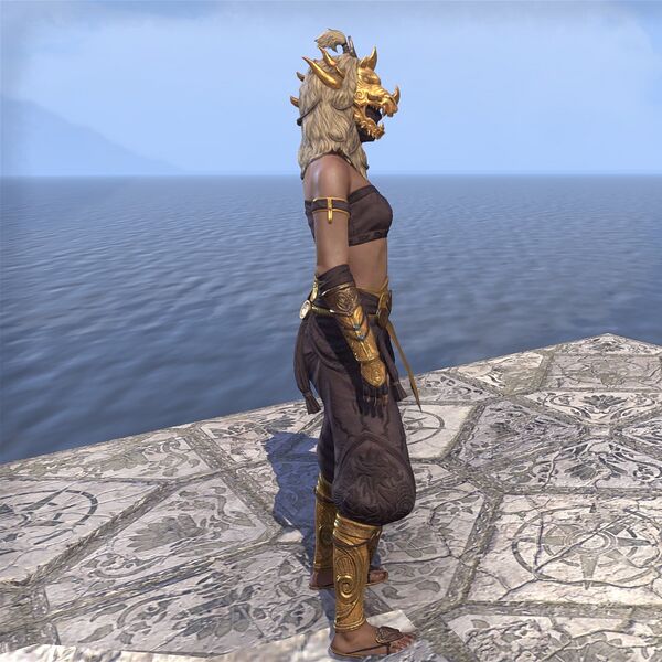 File:ON-costume-Dragon Rage Berserker's Garb (side).jpg