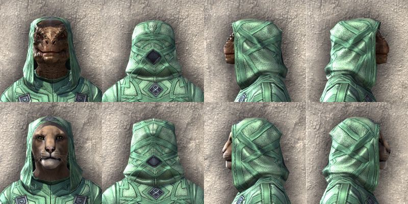 File:ON-item-armor-Ancient Orc Light Beast Races.jpg