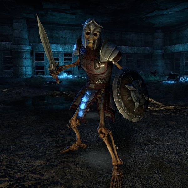 File:ON-npc-Guard Captain Paratius.jpg