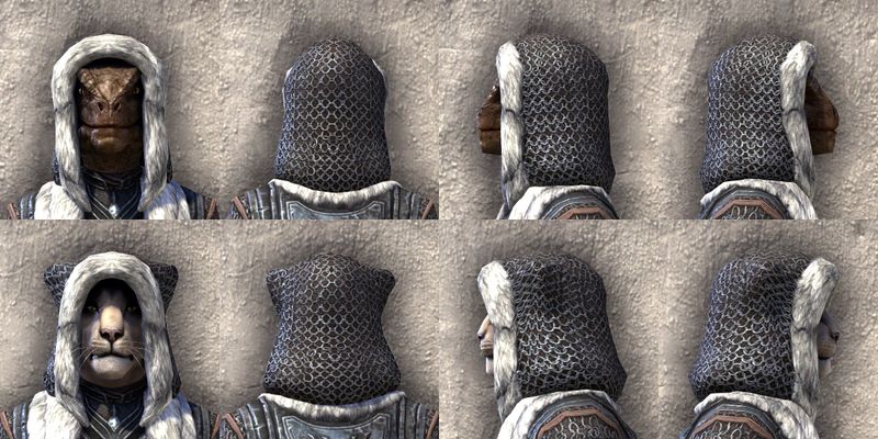 File:ON-item-armor-Frostcaster Heavy Beast Races.jpg