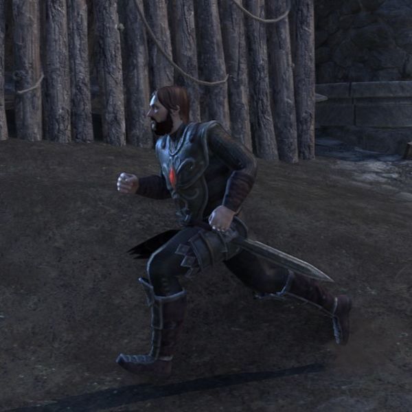 File:ON-npc-Legionary Defender.jpg