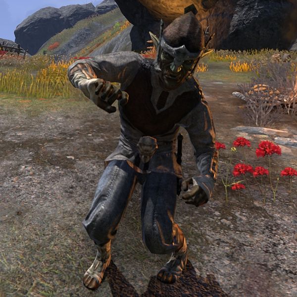 File:ON-npc-Rock Bone Bewitcher.jpg