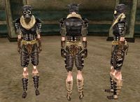 MW-item-Boiled Netch Leather Armor Female.jpg