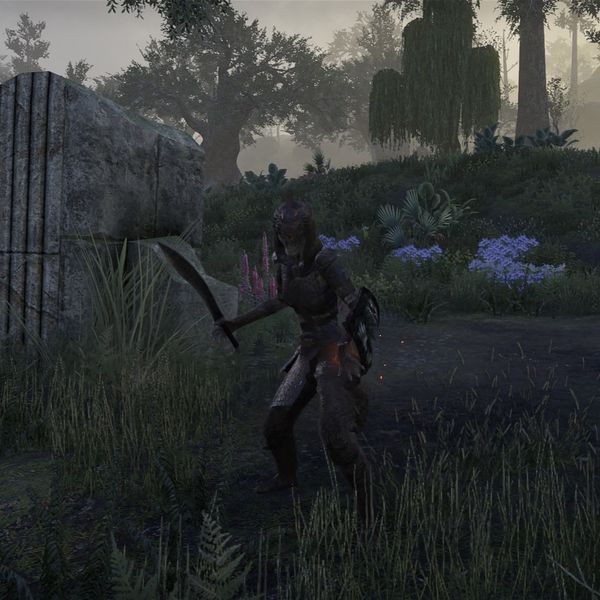 File:ON-npc-Sharp-Eye Champion.jpg
