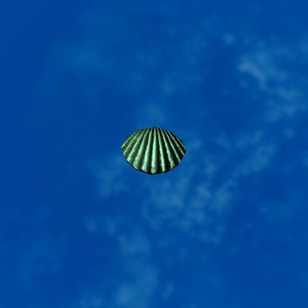 File:SRMOD-LOTD-tide-scallop shell-sea green.jpg