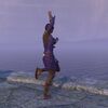 ON-emote-Celebratory Dance 07.jpg