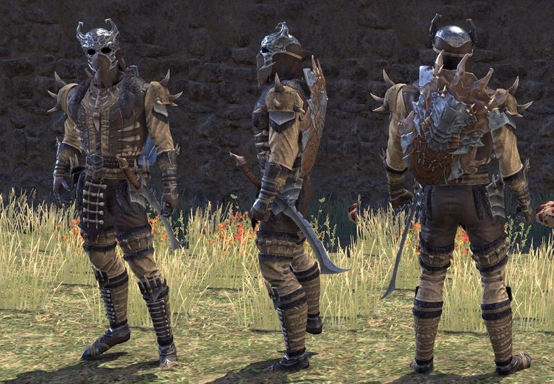 File:ON-item-armor-Coldsnap Heavy Male.jpg