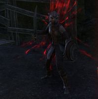ON-npc-Ren-dro Guardian.jpg