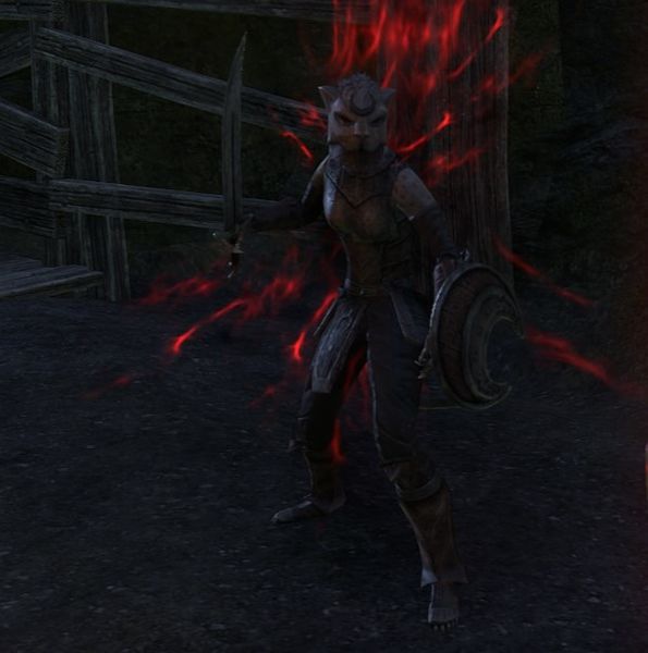 File:ON-npc-Ren-dro Guardian.jpg