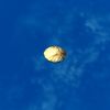 SRMOD-LOTD-tide-scallop shell-striped.jpg