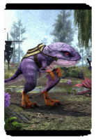 ON-card-Lavender Guar.png