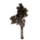 ON-icon-furnishing-Tree, Towering Autumn Birch.png