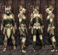 ON-item-armor-Earthbone Ayleid (female).jpg