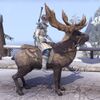 ON-mount-Seaghost Pillion Moose.jpg