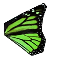 SR-icon-ingredient-Green Butterfly Wing.png