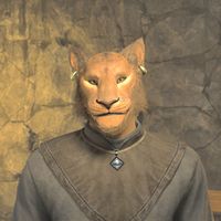 OBR-npc-J'skar 02.jpg