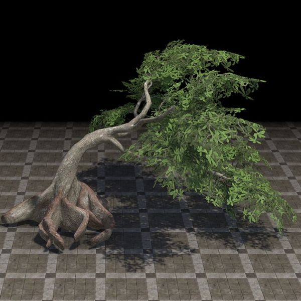 File:ON-furnishing-Tree, Large Water Chestnut.jpg
