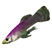 BS5C-icon-ingredient-Rainbow Fish.png