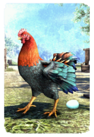 ON-card-Mara's Spring Chicken.png