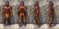 ON-item-armor-Anequina Medium Male.jpg