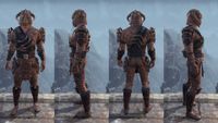 ON-item-armor-Ancestral Reach Heavy Male.jpg