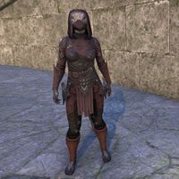 Shrouded Armor (female)