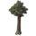 ON-icon-furnishing-Tree, Towering Fig.png