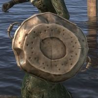 ON-item-armor-Cadwell's "Shield".jpg