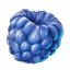 ON-icon-food-Sujamma Berries.png