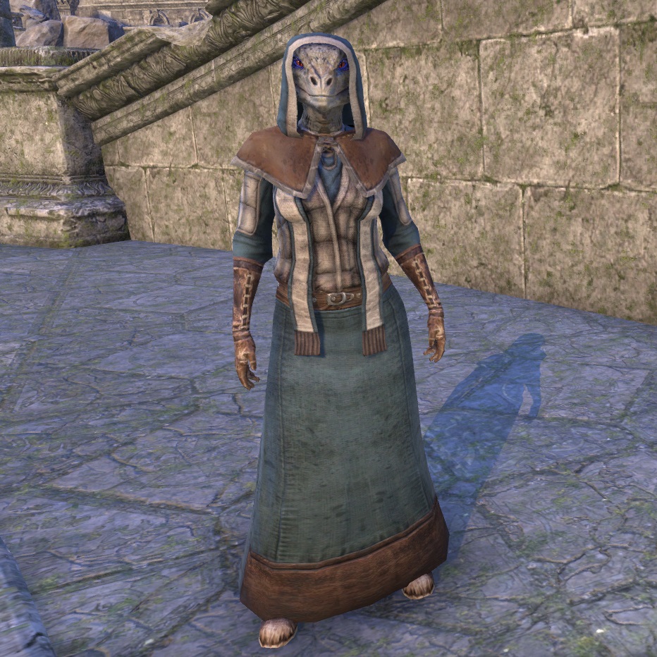 Online Mages Guild Research Robes The Unofficial Elder Scrolls Pages   ON Costume Mages Guild Research Robes (Female) 