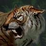 ON-icon-Tiger Forum Avatar.jpg