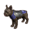 ON-icon-pet-Covenant Breton Terrier.png