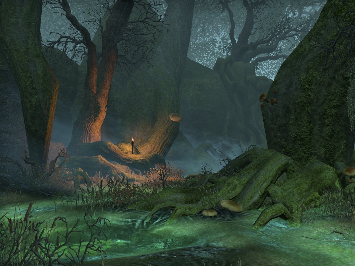 Elder Scrolls Online Concept Art Valenwood