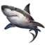 ON-icon-fish-Shark.png