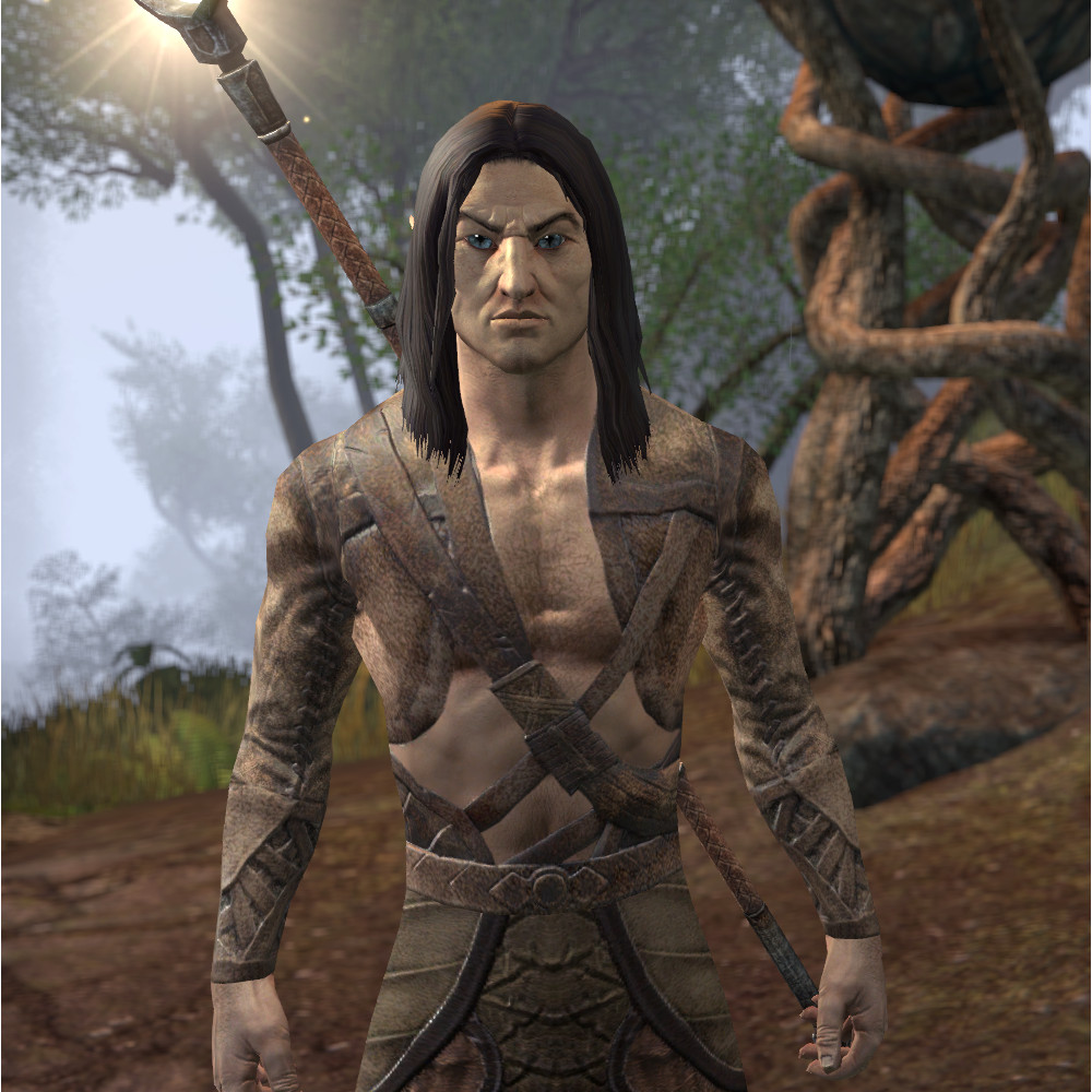 ESO: Shadow Runner - , The Video Games Wiki