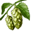 ON-icon-food-Hops.png