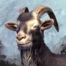 ON-icon-Goat 01 Forum Avatar.jpg