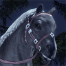 ON-icon-Horse 04 Forum Avatar.png