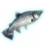 ON-icon-fish-Salmon 02.png