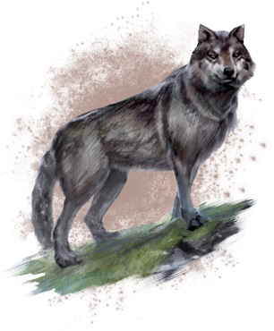 ON-concept-wolf.png