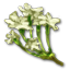 ON-icon-reagent-Lady%27s_Smock.png