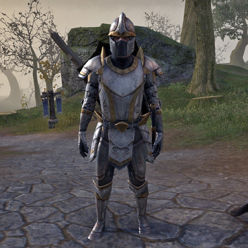 Elder Scrolls Wiki on X: Darien Gautier is a Breton captain of the Camlorn  Guard. Alinon the Alchemist describes him as a better tactician than his  father, General Gautier, even if he