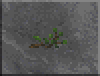 DF-icon-ingredient-Green leaves.png