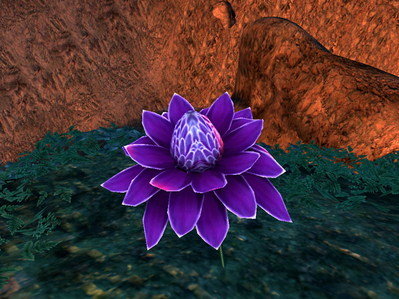 File:OB-flora-Mana Bloom (Ambrosia).jpg.